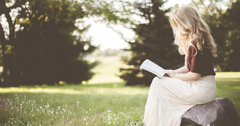 Blog business : comment une lecture régulière devient un outil de gestion