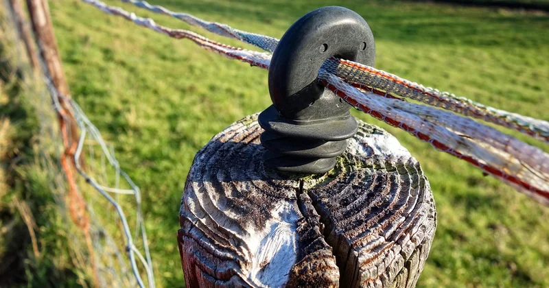 L'ACRE et les exonérations : moins de charges, c'est toujours de l'argent économisé
